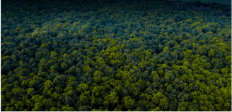 qyǧ��-ǧ�����ѻ�-ǧ�����ѻ����